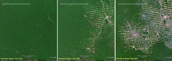 Déforestation Déforestation